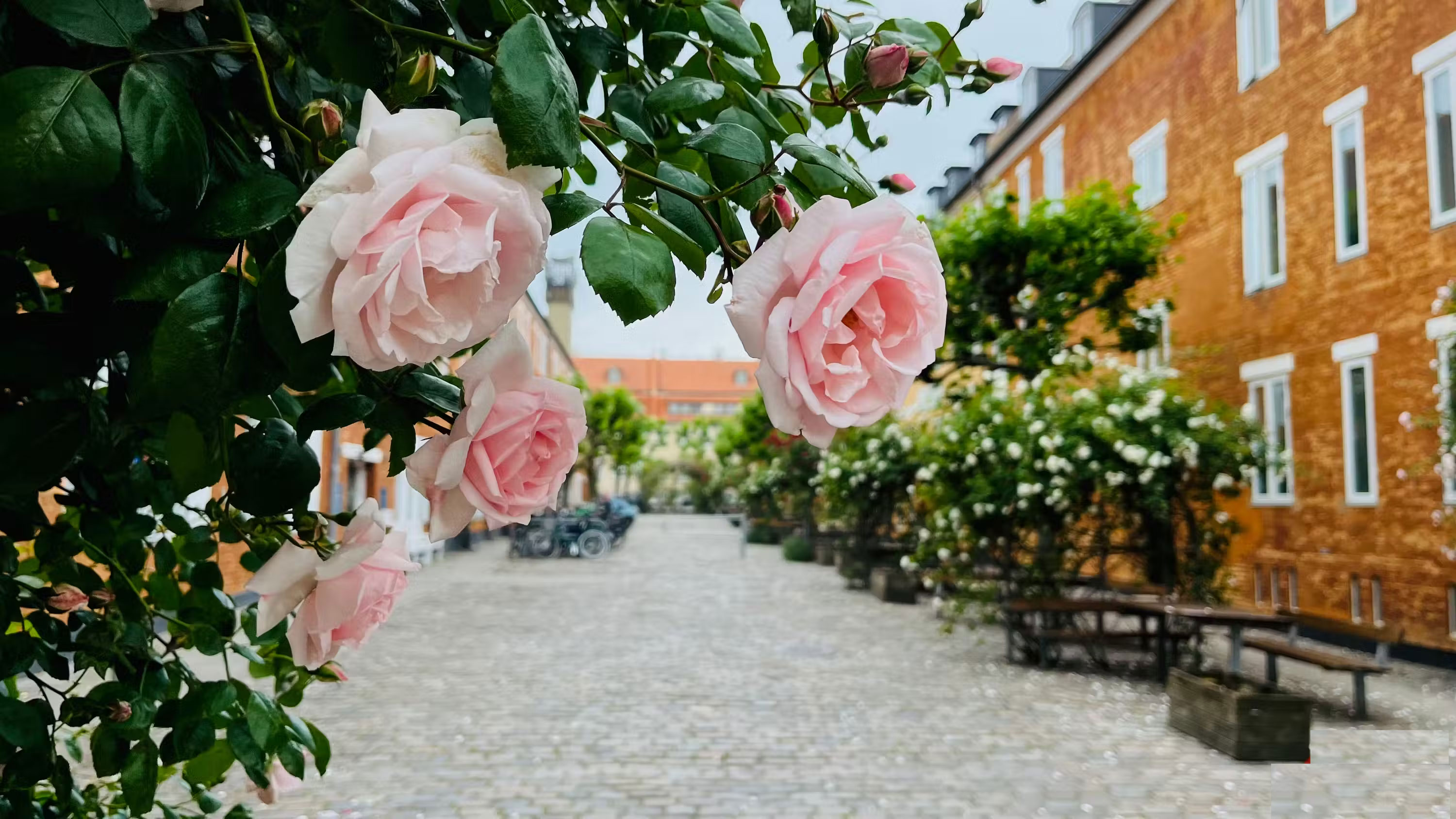 Photography rules to help improve photos taken with smartphones Picture 1