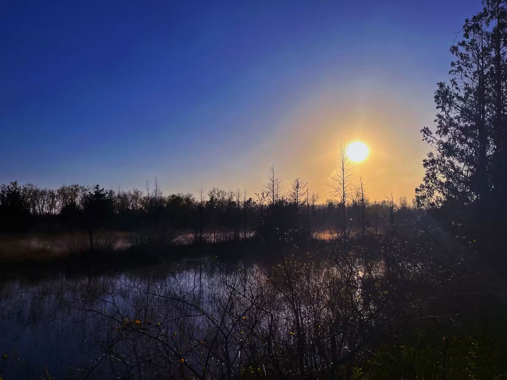 Photoleap - The Ultimate AI Editor for All Photos Picture 5