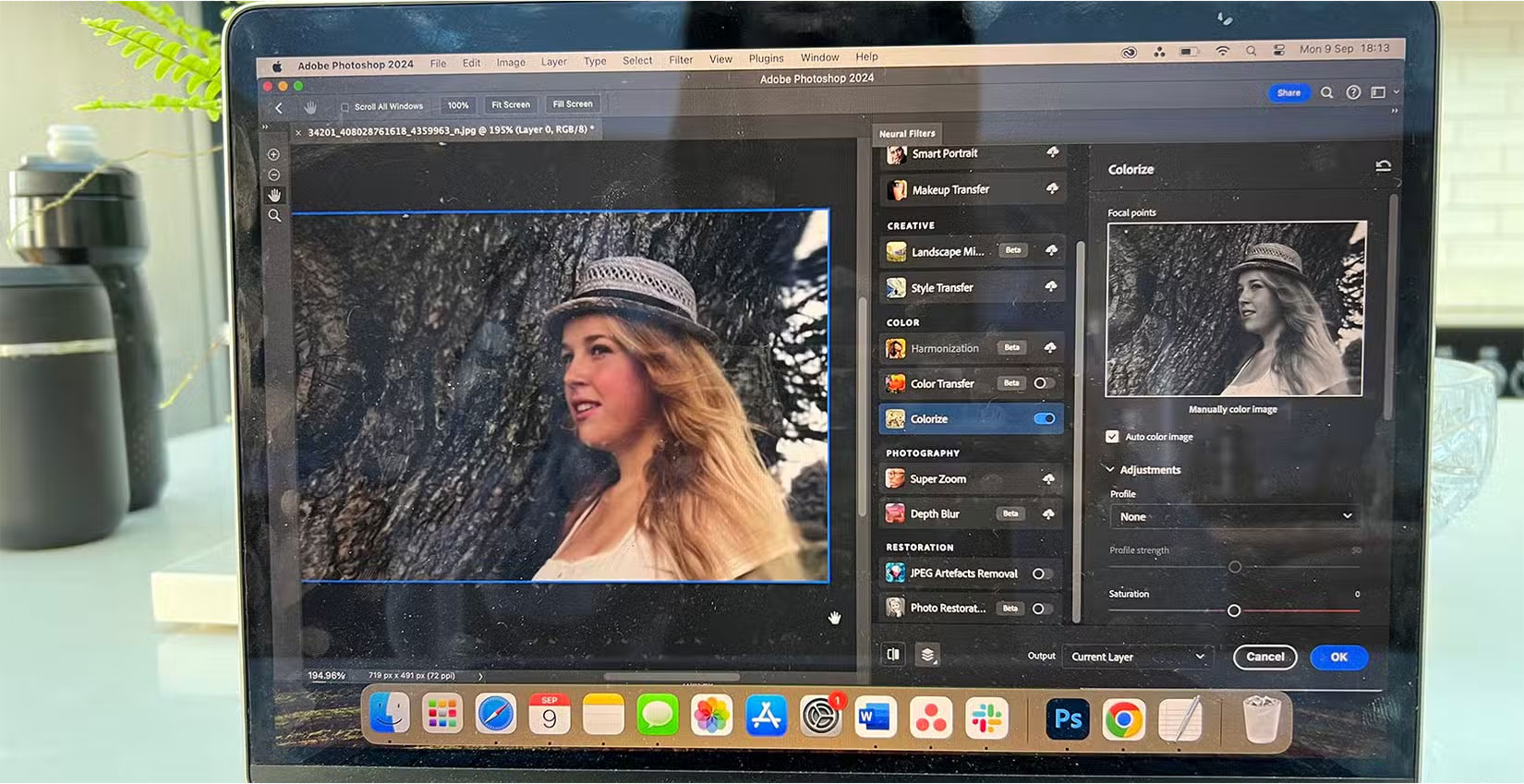 Photoshop or Pixlr for better photo editing? Picture 3