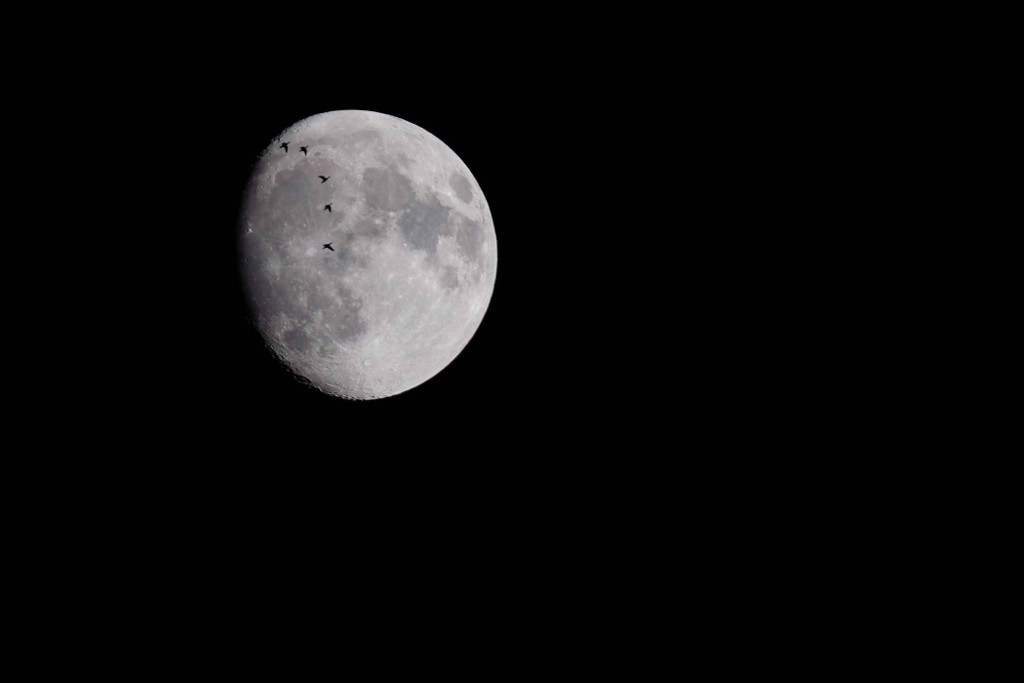 Picture 10 of Stunning photos of the supermoon from all over the world.