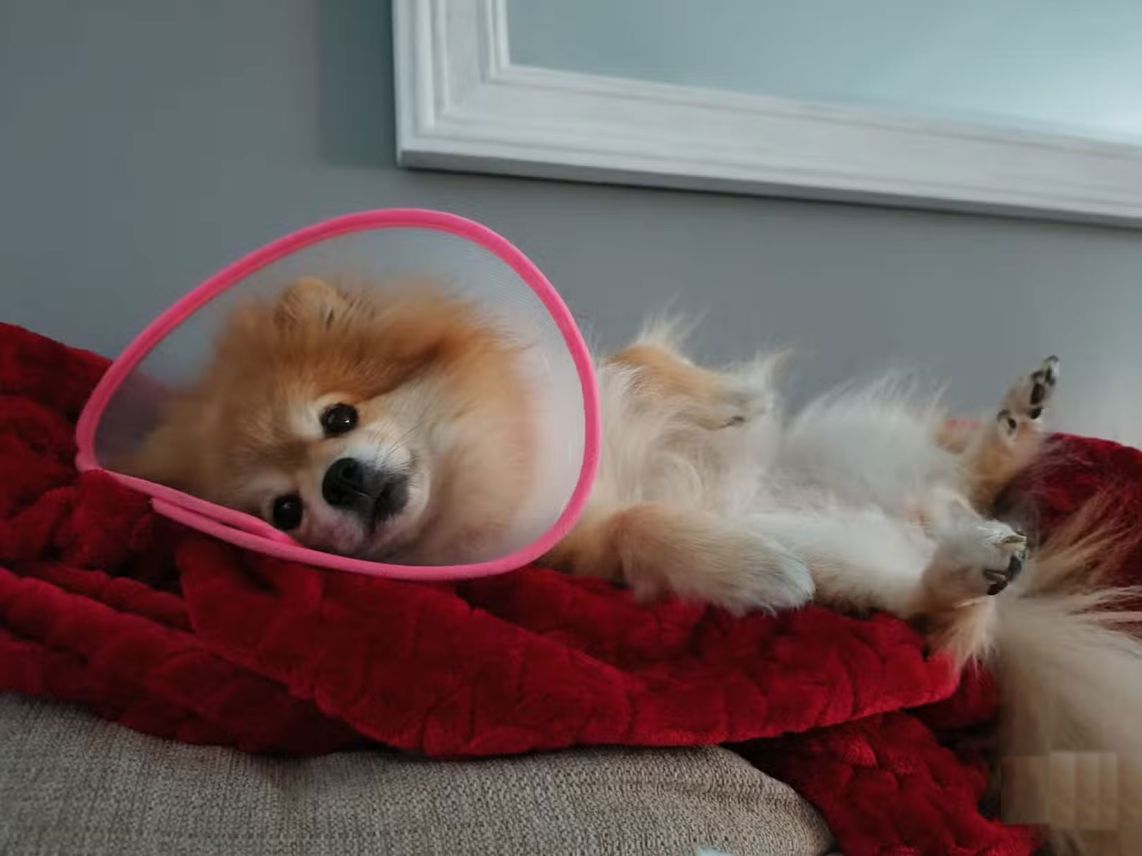 Enjoy these 4 seconds of AI animations from this cool still image by Meta! Picture 18