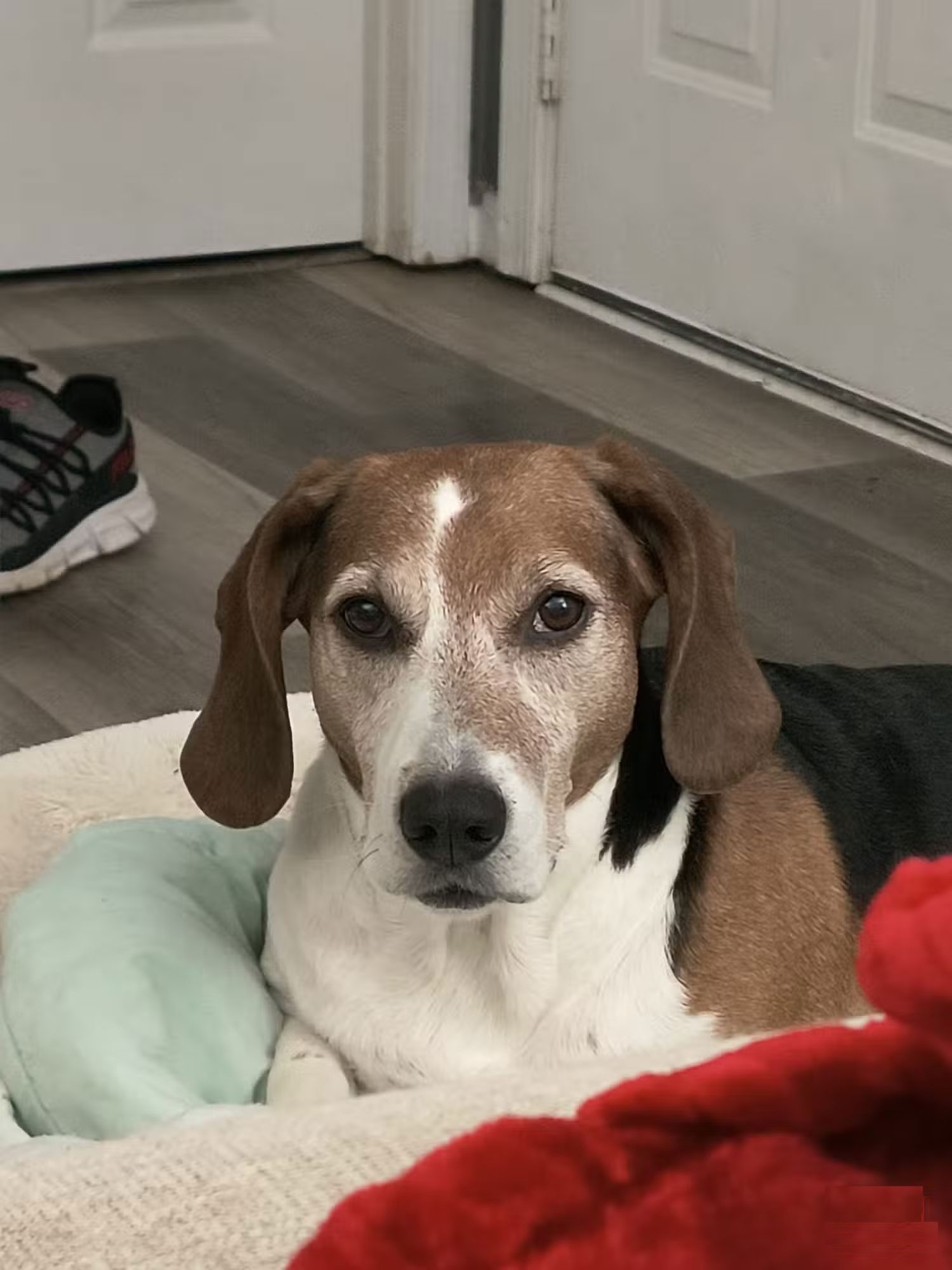 Enjoy these 4 seconds of AI animations from this cool still image by Meta! Picture 20