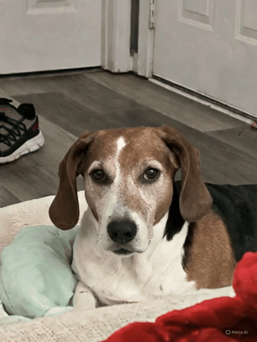 Enjoy these 4 seconds of AI animations from this cool still image by Meta! Picture 21