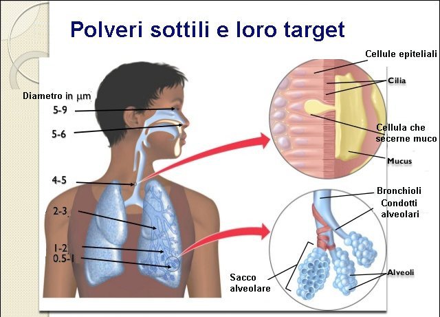 PM2.5 ultrafine dust is the most dangerous type of dust in the world, capable of penetrating human body cells and causing toxicity. Picture 3