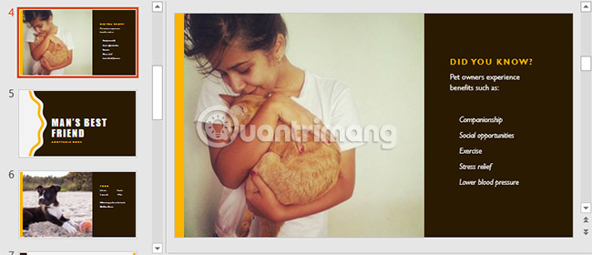 Picture 29 of PowerPoint 2016: Basic information about slides