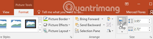 Picture 1 of PowerPoint 2016: Image Formatting in PowerPoint