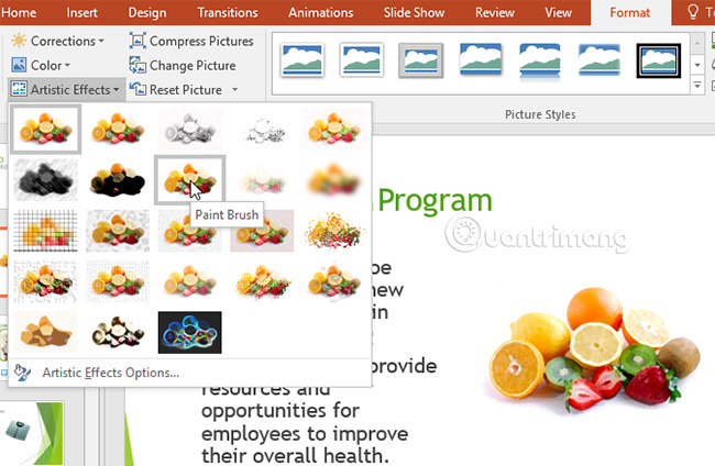 Picture 10 of PowerPoint 2016: Image Formatting in PowerPoint