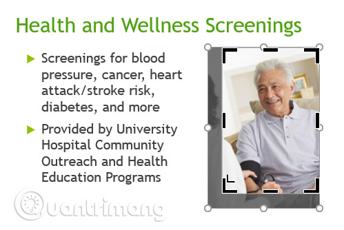 Picture 2 of PowerPoint 2016: Image Formatting in PowerPoint