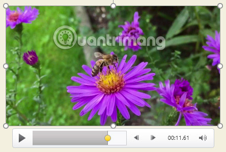 PowerPoint 2016: How to insert videos into PowerPoint Picture 16