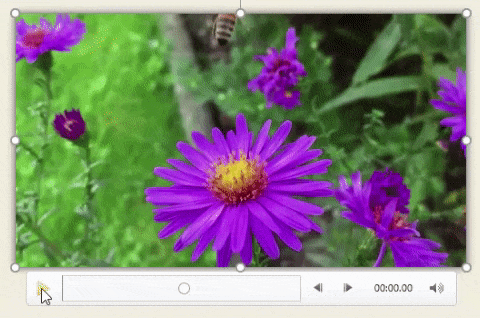 PowerPoint 2016: How to insert videos into PowerPoint Picture 23