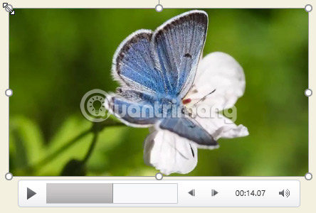 PowerPoint 2016: How to insert videos into PowerPoint Picture 8