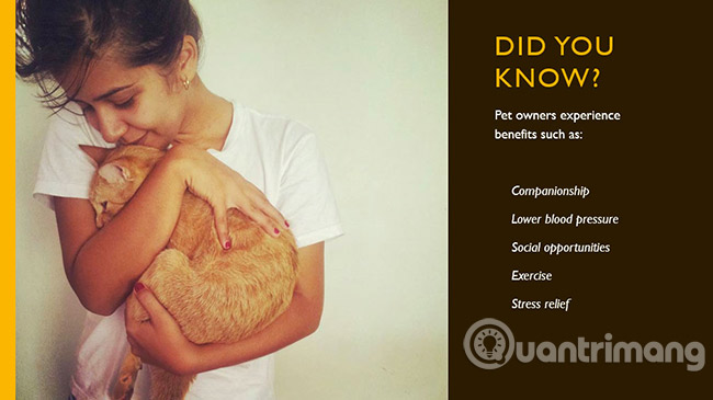 Picture 9 of PowerPoint 2016: How to work with text