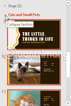 PowerPoint 2016: Managing Slides in PowerPoint Picture 17