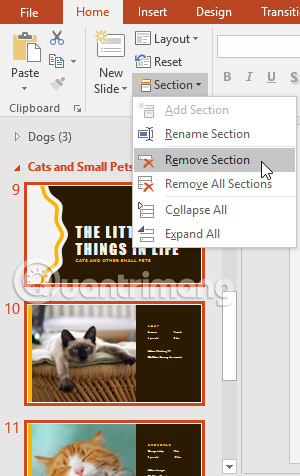 PowerPoint 2016: Managing Slides in PowerPoint Picture 18