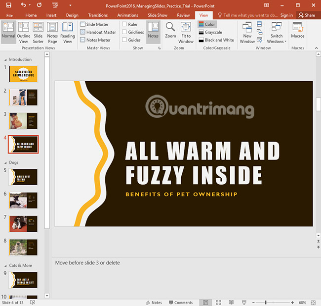PowerPoint 2016: Managing Slides in PowerPoint Picture 19