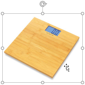 PowerPoint 2019 (Part 14): Inserting Images Picture 12