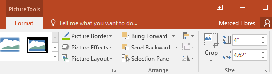 PowerPoint 2019 (Part 14): Inserting Images Picture 16