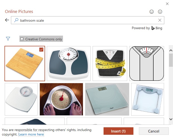 PowerPoint 2019 (Part 14): Inserting Images Picture 9