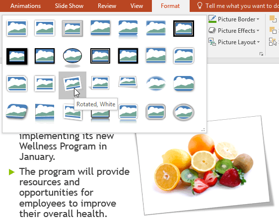 PowerPoint 2019 (Part 15): Image Formatting Picture 11