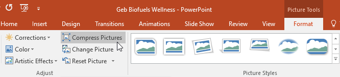 PowerPoint 2019 (Part 15): Image Formatting Picture 12