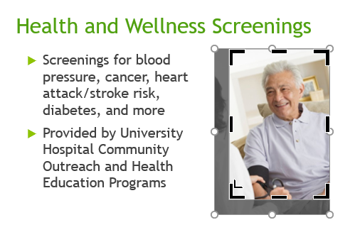 PowerPoint 2019 (Part 15): Image Formatting Picture 2