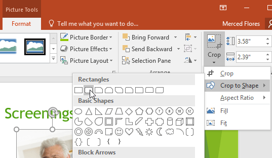 PowerPoint 2019 (Part 15): Image Formatting Picture 3