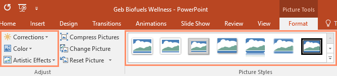 PowerPoint 2019 (Part 15): Image Formatting Picture 7