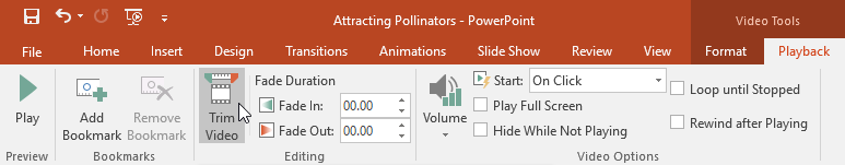PowerPoint 2019 (Part 19): Inserting Video Picture 10