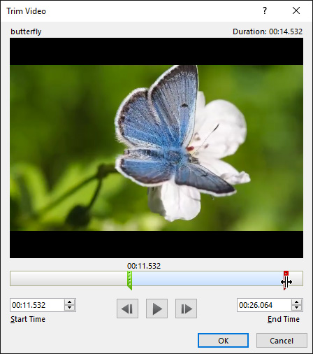 PowerPoint 2019 (Part 19): Inserting Video Picture 11