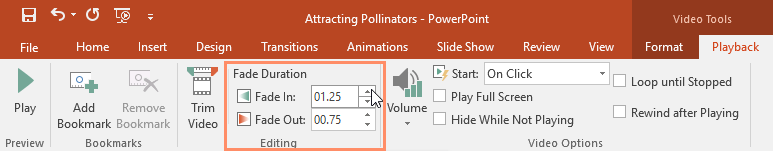 PowerPoint 2019 (Part 19): Inserting Video Picture 13