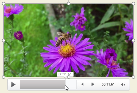 PowerPoint 2019 (Part 19): Inserting Video Picture 14