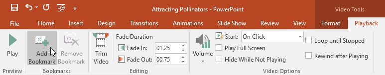PowerPoint 2019 (Part 19): Inserting Video Picture 15
