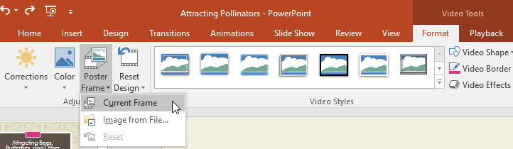 PowerPoint 2019 (Part 19): Inserting Video Picture 18