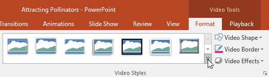 PowerPoint 2019 (Part 19): Inserting Video Picture 20