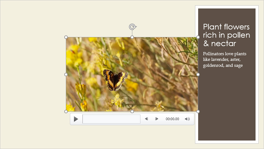 PowerPoint 2019 (Part 19): Inserting Video Picture 3