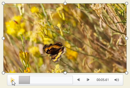 PowerPoint 2019 (Part 19): Inserting Video Picture 6