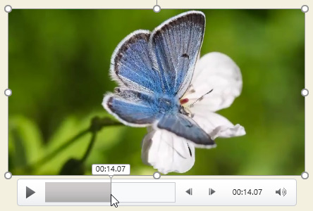 PowerPoint 2019 (Part 19): Inserting Video Picture 7