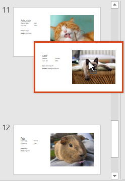 PowerPoint 2019 (Part 4): Basic Slide Concepts Picture 10
