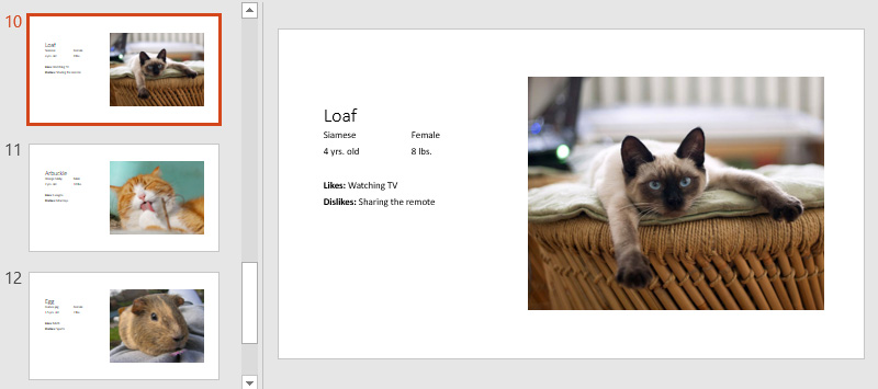 PowerPoint 2019 (Part 4): Basic Slide Concepts Picture 8