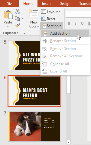 PowerPoint 2019 (Part 8): Managing Slides Picture 13