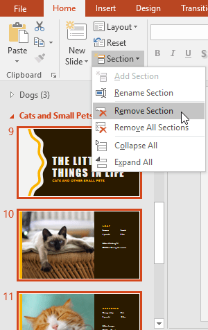 PowerPoint 2019 (Part 8): Managing Slides Picture 18