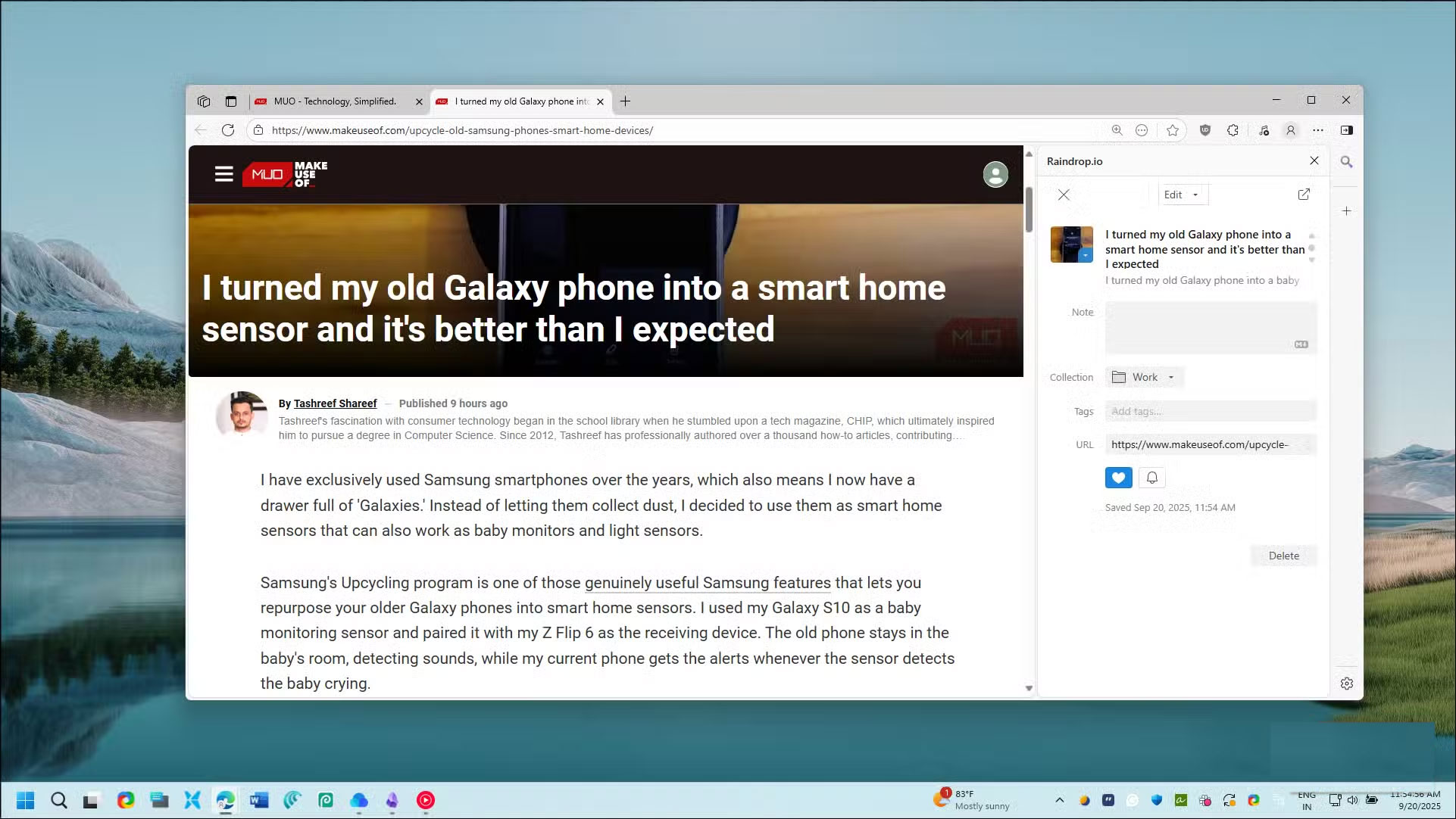 Raindrop.io Picture 2