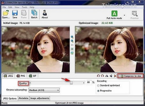 Picture 3 of Reduce image size using Radical Image Optimize Tool (RIOT)