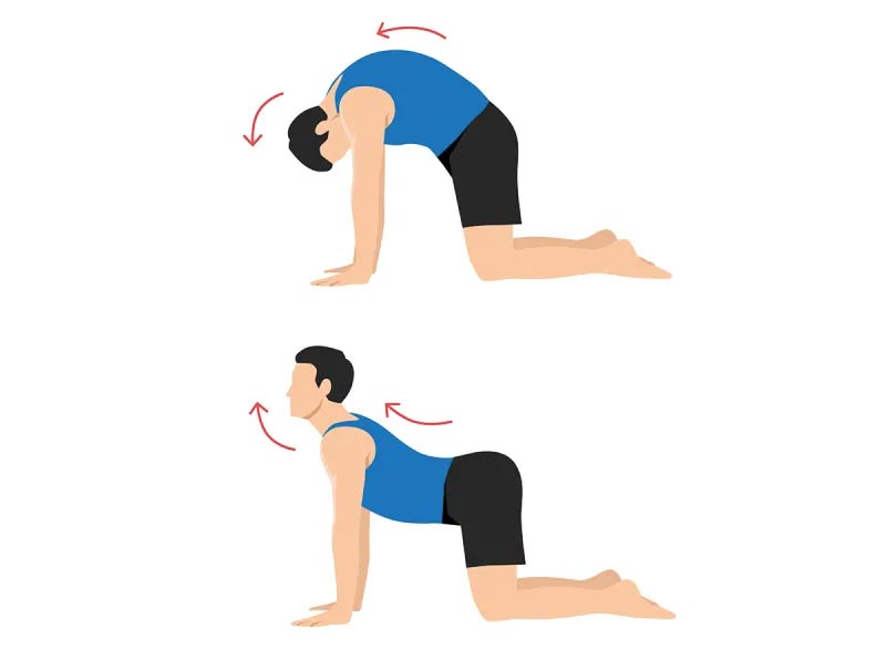 Daily stretching exercises help you sleep well and feel refreshed in the morning Picture 3