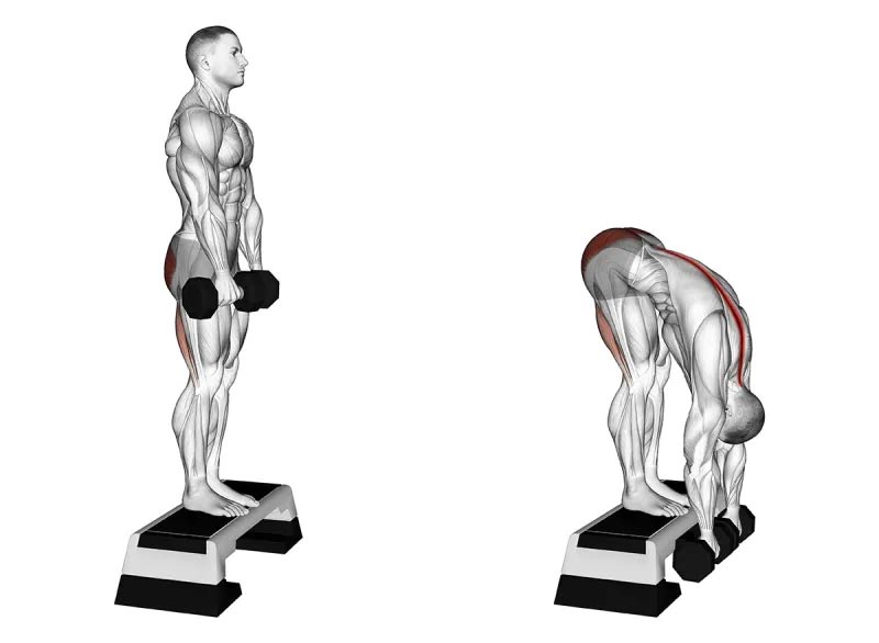 Daily stretching exercises help you sleep well and feel refreshed in the morning Picture 5