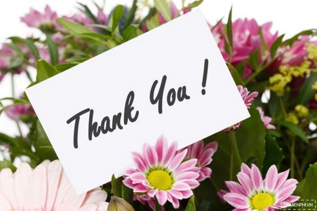 images 33 of Sample thank-you message in PowerPoint slides