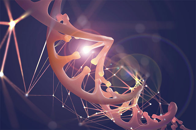 Scientists have for the first time published the most detailed 4D map of the human genome. Picture 1