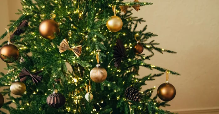 Should Christmas tree lights be left on all night? Picture 1