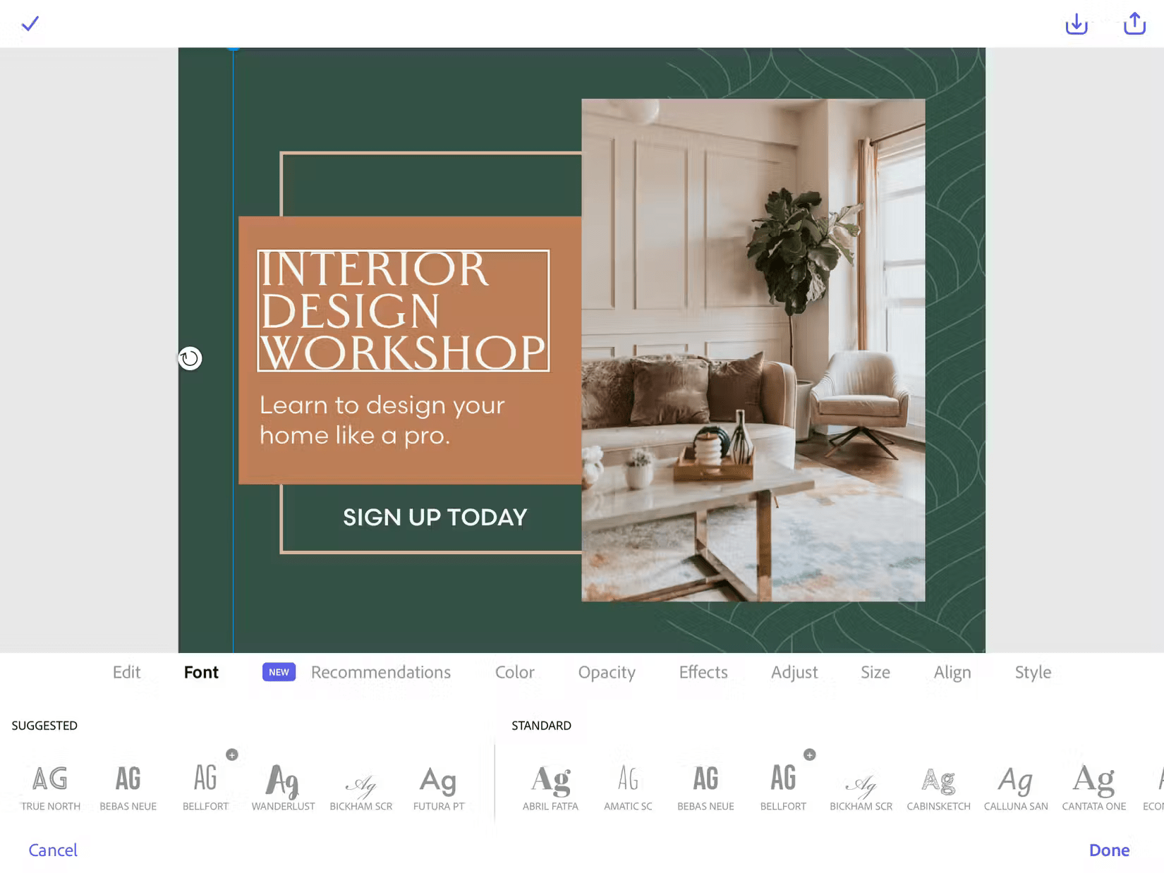 Should I subscribe to Adobe Express Premium? Picture 1