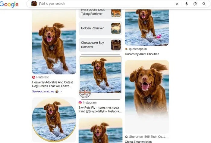 Snipping Lens Picture 4